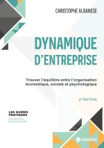 EQUILIBRE ENTRE STRUCTURE ET DYNAMIQUE SOCIALE DE L'ENTREPRISE