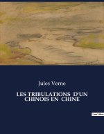 LES TRIBULATIONS  D'UN CHINOIS EN  CHINE