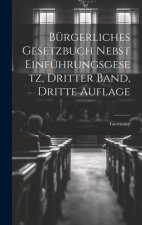Bürgerliches Gesetzbuch nebst Einführungsgesetz, Dritter Band, Dritte Auflage