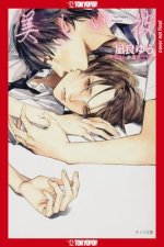 My Beautiful Man, Volume 1 (Light Novel)