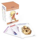 Anatomy Flashcards: 300 Flashcards with Anatomically Precise Drawings and Exhaustive Descriptions
