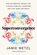 SUPERCONVERGENCE