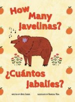 How Many Javelinas?/?Cuántos Jabalíes?