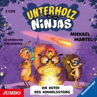 Die Unterholz-Ninjas. Die Hüter des Himmelssteins, 2 Audio-CD