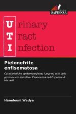 Pielonefrite enfisematosa