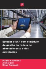 Estudar o ERP com o módulo de gestão da cadeia de abastecimento e das existências