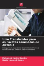Uma Translucidez para as Facetas Laminadas de Zircónio