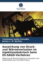 Auswirkung von Druck- und Wärmeverlusten im Injektionsbohrloch beim ES-SAGD-Verfahren