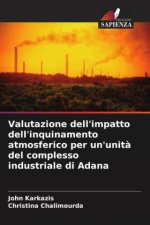 Valutazione dell'impatto dell'inquinamento atmosferico per un'unit? del complesso industriale di Adana