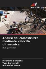 Analisi del calcestruzzo mediante velocit? ultrasonica