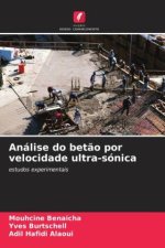 Análise do bet?o por velocidade ultra-sónica