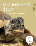 Suchozemské želvy - Chov, péče, porozumění