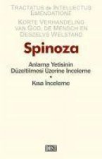 Anlama Yetisinin Düzeltilmesi Üzerine Inceleme