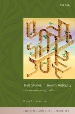 Trial Stories in Jewish Antiquity Counternarratives of Justice (Hardback)