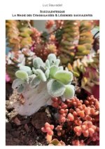 MAGIE CRASSULACEES ET LEGENDES SUCCULENT