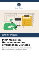 MRP-Modell in Unternehmen des öffentlichen Dienstes