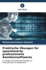 Praktische Übungen für spezialisierte professionelle Assistenzsoftwares