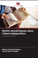 Motifs dendritiques dans l'électrodéposition