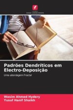 Padr?es Dendríticos em Electro-Deposiç?o