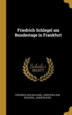 Friedrich Schlegel am Bundestage in Frankfurt