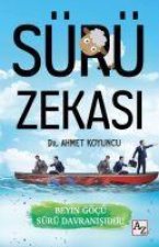 Sürü Zekasi