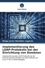 Implementierung des LDAP-Protokolls bei der Einrichtung von Domänen