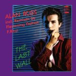 The Last Wall, 1 1 Schallplatte (Maxi Vinyl)