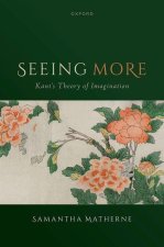 Seeing More Kant's Theory of Imagination (Hardback)
