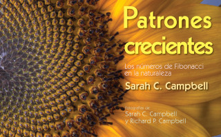 Growing Patterns (Spanish)