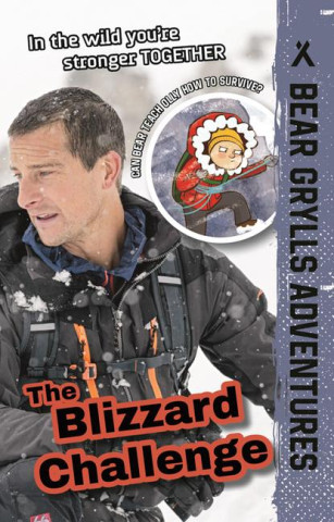 The Blizzard Challenge