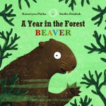 A Year in the Forest with Beaver