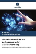 Monochrome Bilder zur Verbesserung der Objekterkennung