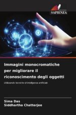 Immagini monocromatiche per migliorare il riconoscimento degli oggetti