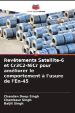 Rev?tements Satellite-6 et Cr3C2-NiCr pour améliorer le comportement ? l'usure de l'En-45
