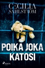 Poika joka katosi