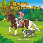 Galway the Irish Cob Cow Horse