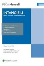 Intangibili: profili contabili fiscali e valutativi