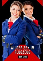 Wilder Sex im Flugzeug
