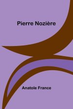 Pierre Nozi?re