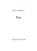 Pan