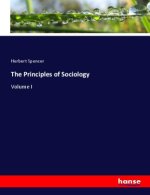 The Principles of Sociology