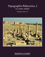 Topographia Palmyrena, 2: Le centre urbain