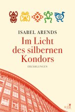 Im Licht des silbernen Kondors. Erzählungen