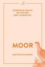 Moor