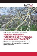 Populus deltoides ?Stoneville 66? y Populus x canadensis ?Conti 12?