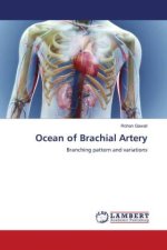 Ocean of Brachial Artery