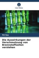 Die Auswirkungen der Verschmutzung von Brennstoffzellen verstehen