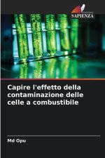 Capire l'effetto della contaminazione delle celle a combustibile