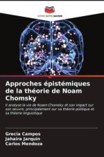 Approches épistémiques de la théorie de Noam Chomsky