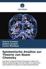 Epistemische Ansätze zur Theorie von Noam Chomsky
